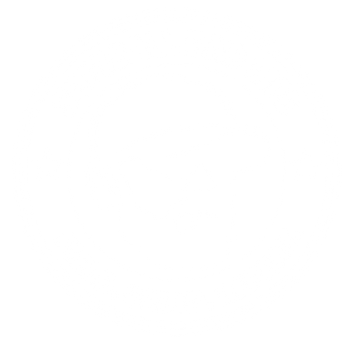 Softball Dad Life
