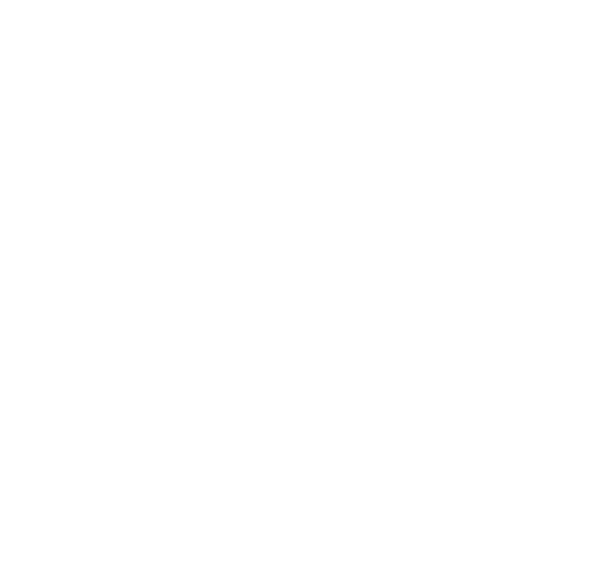 Softball Dad Life